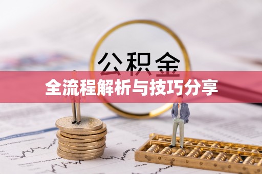 卓兰全流程解析与技巧分享